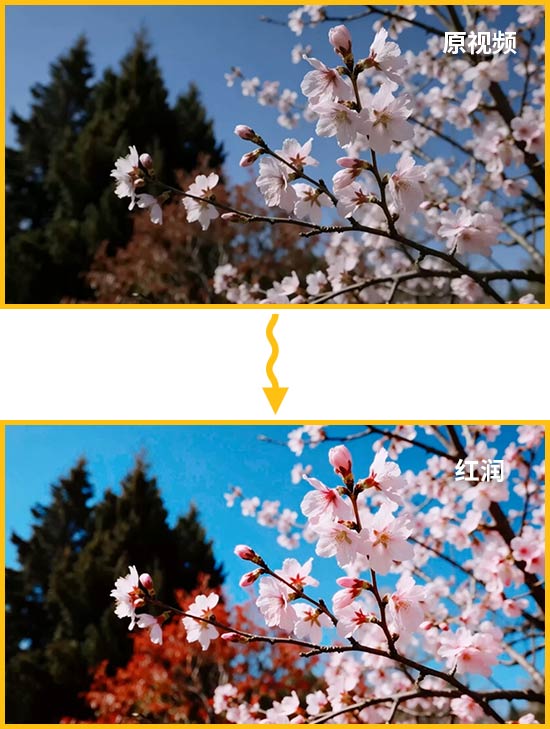 春日拍花后期怎么调色？